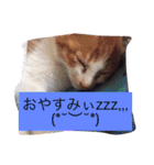 車屋さん集合☆（個別スタンプ：14）