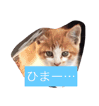 車屋さん集合☆（個別スタンプ：22）