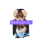 車屋さん集合☆（個別スタンプ：23）