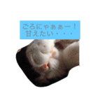 車屋さん集合☆（個別スタンプ：27）