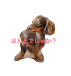 おこたんまん（個別スタンプ：3）