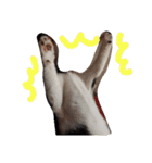 子猫のジジちゃん+（個別スタンプ：5）