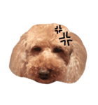 Marosan（個別スタンプ：2）
