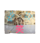 もにゅ2（個別スタンプ：2）
