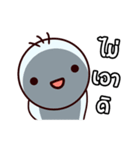 mai aow di（個別スタンプ：16）
