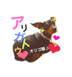 ミニピンくるみスタンプ（個別スタンプ：31）