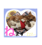 ぼくはメルくん（個別スタンプ：2）