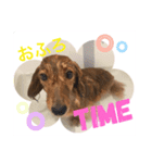 ぼくはメルくん（個別スタンプ：5）