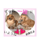 ぼくはメルくん（個別スタンプ：6）