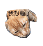 GOO Good Job（個別スタンプ：10）