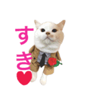 うちのコロンくん（個別スタンプ：1）
