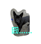 A-Lu's daily（個別スタンプ：1）