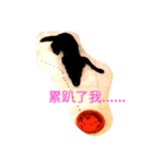A-Lu's daily（個別スタンプ：5）