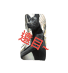 A-Lu's daily（個別スタンプ：8）