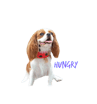 the cavalier story（個別スタンプ：7）