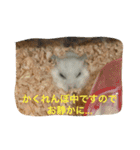 ポメさんとハムさん（個別スタンプ：4）