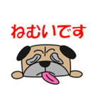 パグですが、、。（個別スタンプ：1）