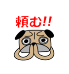 パグですが、、。（個別スタンプ：2）
