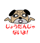 パグですが、、。（個別スタンプ：5）