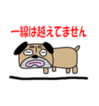 パグですが、、。（個別スタンプ：6）