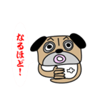 パグですが、、。（個別スタンプ：10）