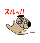 パグですが、、。（個別スタンプ：11）