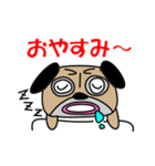 パグですが、、。（個別スタンプ：13）