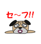 パグですが、、。（個別スタンプ：21）