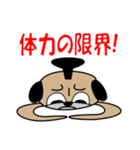 パグですが、、。（個別スタンプ：23）
