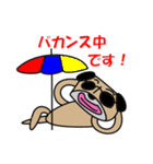 パグですが、、。（個別スタンプ：26）