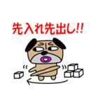 パグですが、、。（個別スタンプ：36）