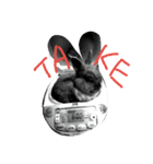 Tato Rabbit（個別スタンプ：1）