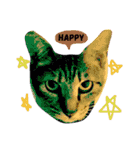 愛猫のむぎちゃんです‹‹(´ω` )››（個別スタンプ：13）