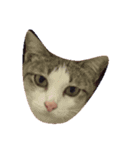 Pipi_Uthong（個別スタンプ：2）