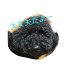 犬こてつ4（個別スタンプ：4）