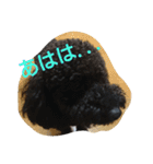 犬こてつ4（個別スタンプ：5）