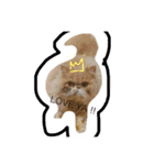 ばたーかっぷ第二弾（個別スタンプ：3）