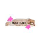 ばたーかっぷ第二弾（個別スタンプ：4）