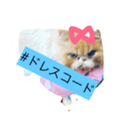 ばたーかっぷ第二弾（個別スタンプ：6）