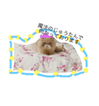 ばたーかっぷ第二弾（個別スタンプ：10）