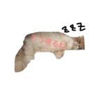 ばたーかっぷ第二弾（個別スタンプ：11）