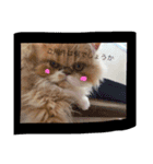 ばたーかっぷ第二弾（個別スタンプ：12）
