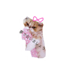 ばたーかっぷ第二弾（個別スタンプ：15）