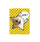ポメラニアンきなこの日常 1（個別スタンプ：12）