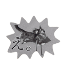 愛犬ショコラ（個別スタンプ：8）
