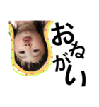 りおりー。（個別スタンプ：13）