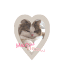 めろたーん（個別スタンプ：2）