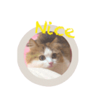 めろたーん（個別スタンプ：14）