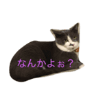 I Love RON.（個別スタンプ：2）