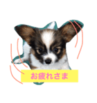 のんあんこむぎ（個別スタンプ：1）